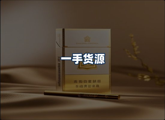 专业团队办公环境